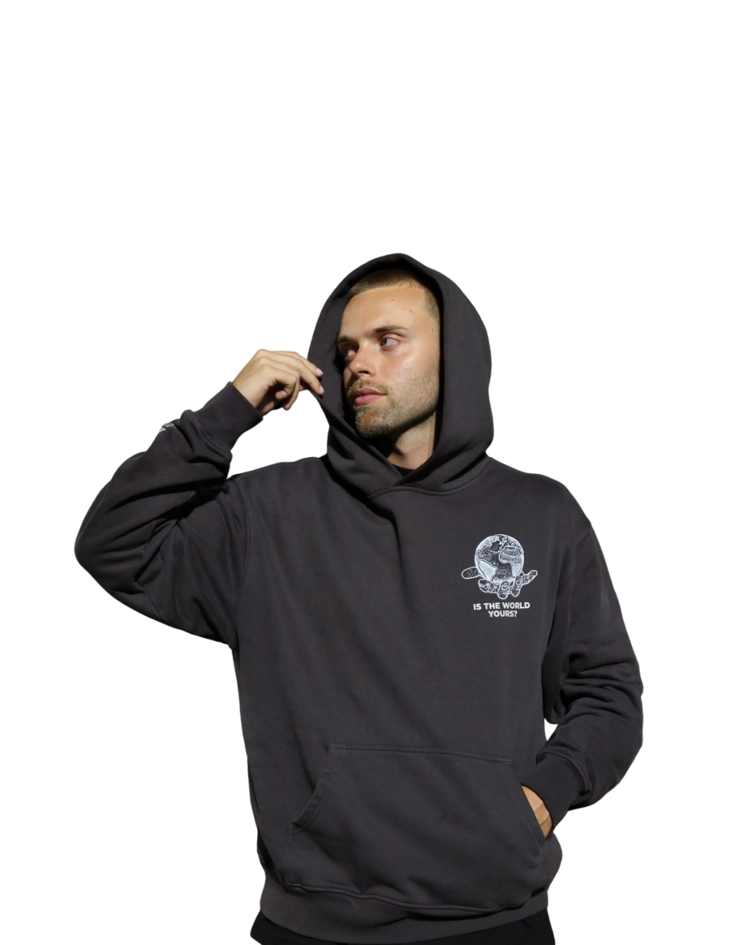 World Is Yours Hoodie